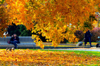Фотография к новости: Потепление ожидается на большей части Казахстана