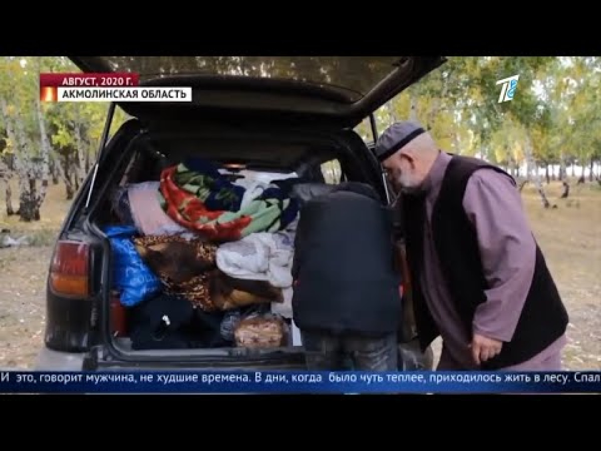 кадр из видео