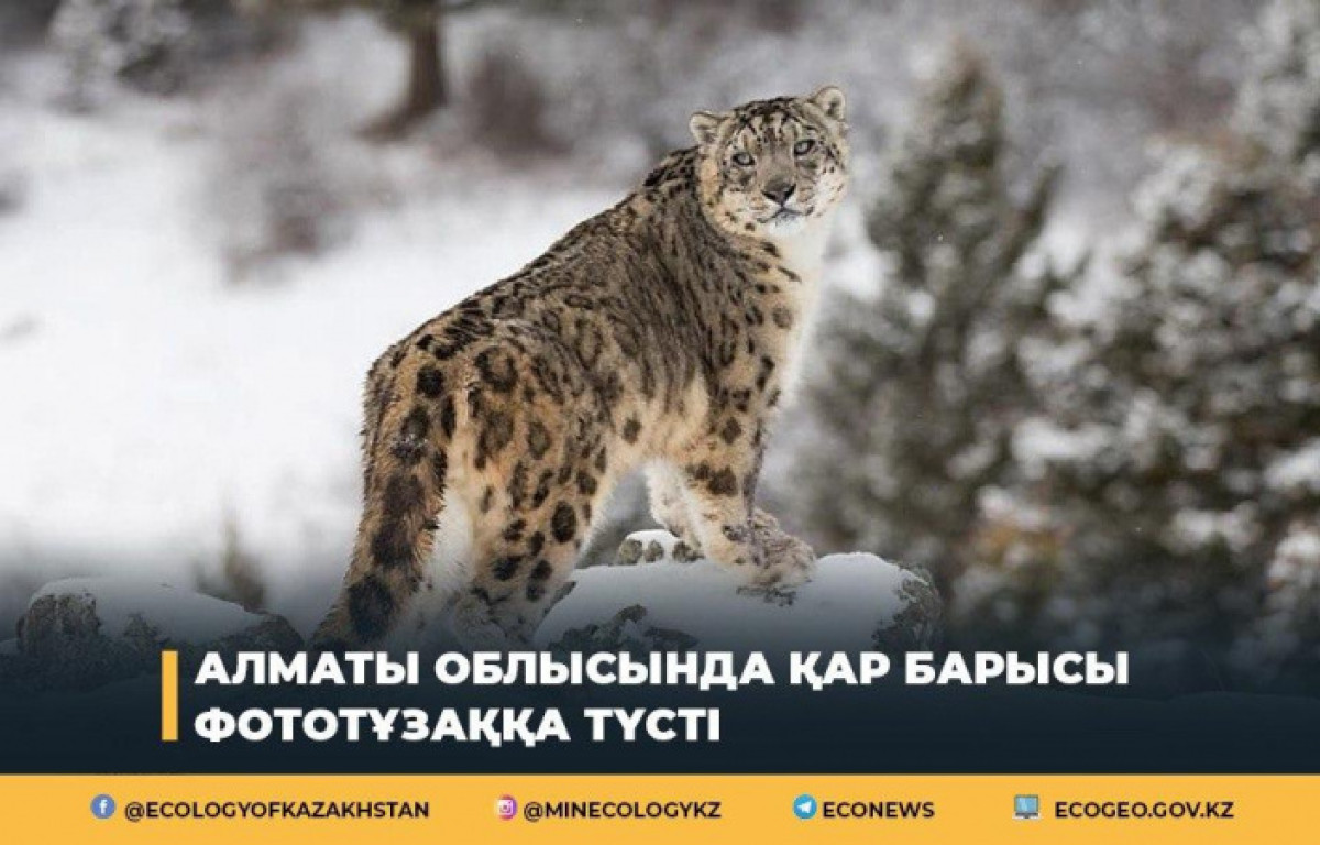 пресс-службы МЭГПР РК