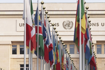 Фотография к новости: ООН объявила 8 и 9 мая днями памяти жертв Второй мировой войны