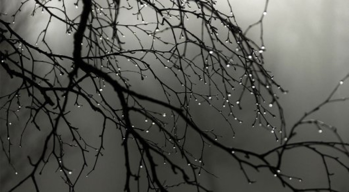 иллюстративное