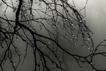 Фотография к новости: Осадки и усиление ветра ожидаются на выходных в Казахстане