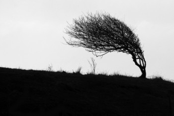 Фотография к новости: Штормовое предупреждение объявили в пяти областях Казахстана