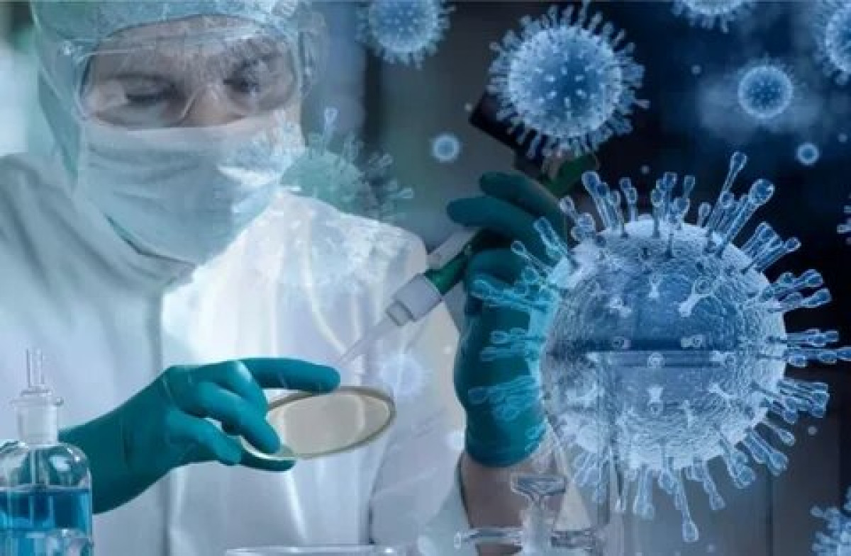 иллюстративное