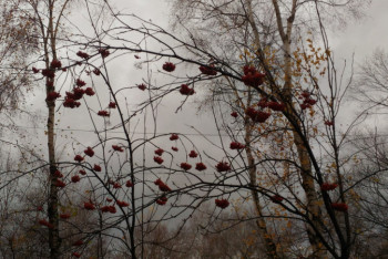 Фотография к новости: Синоптики предупредили о шторме в 11 областях и Нур-Султане 9 ноября 