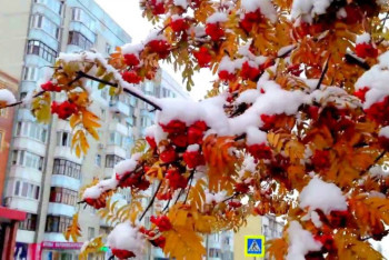 Фотография к новости: Какая погода ожидает казахстанцев 11 ноября