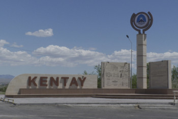 Фотография к новости: Очередной кокпар пытались провести в Туркестанской области