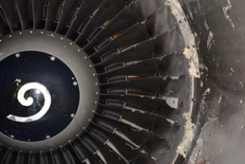 Фотография к новости: Расследование после "атаки" птицами самолета ведет "Авиационная администрация Казахстана"