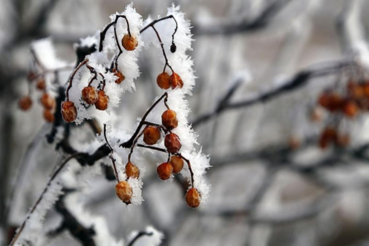 иллюстративное