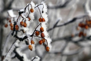 Фотография к новости: Какая погода ожидает казахстанцев 16 ноября