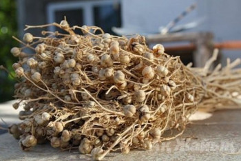 Фотография к новости: Адраспаном и святой водой лечил людей житель СКО