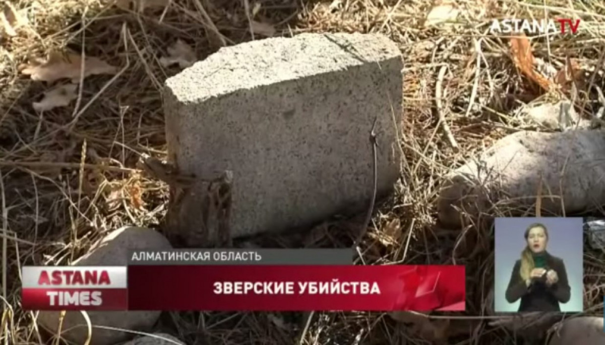 кадр из видео