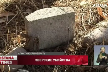 Фотография к новости: Душевнобольные братья зверски убивали животных в Алматинской области