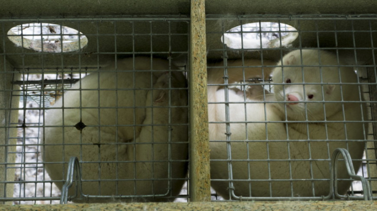 ТАСС / Шамуков Руслан