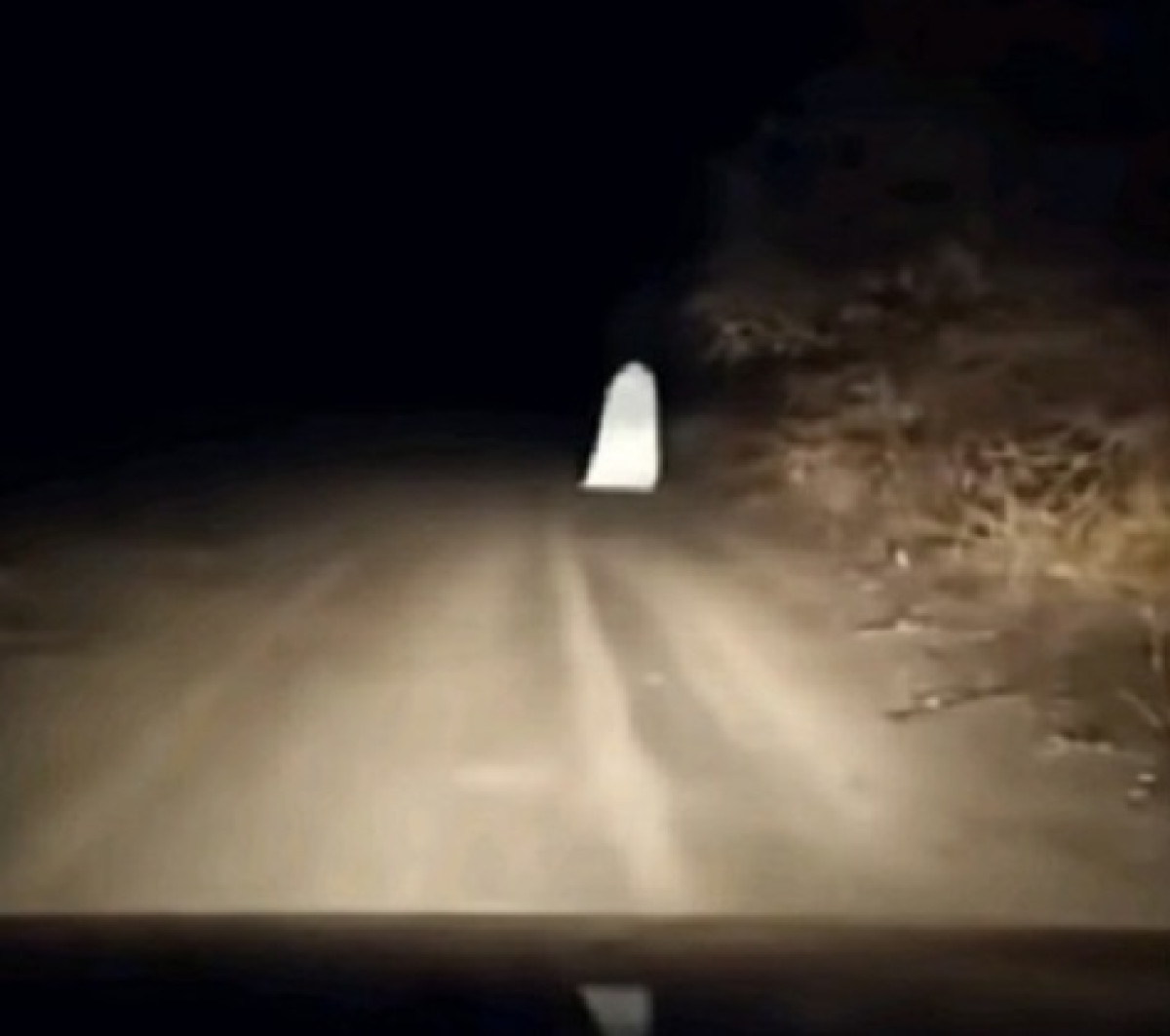 кадр из видео