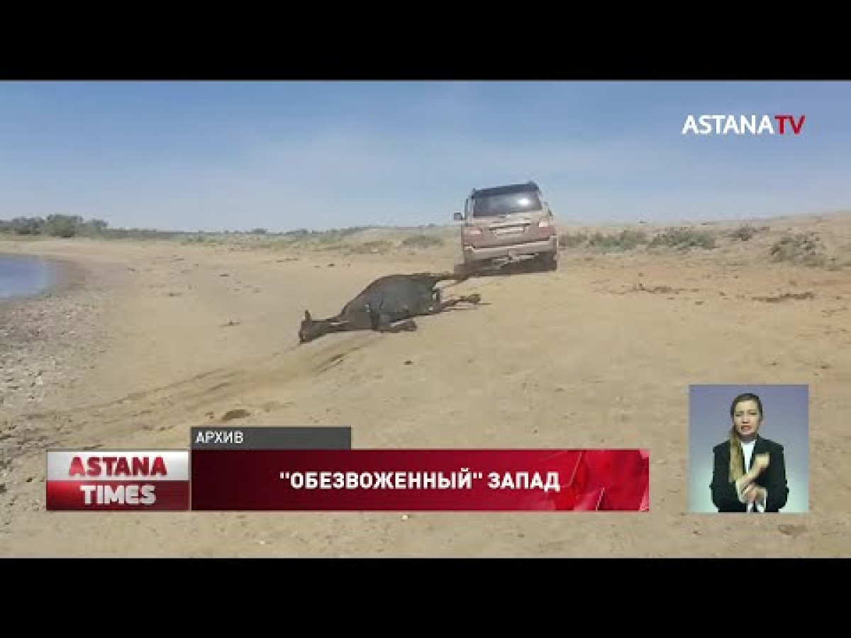 кадр из видео