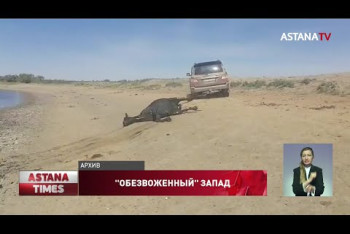 Фотография к новости: Катастрофический дефицит воды в ЗКО: Урал обмелел и получил пятый уровень загрязнения