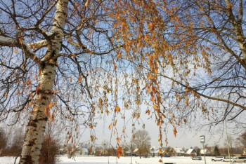Фотография к новости: Какая погода ожидает казахстанцев 19 ноября
