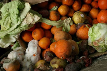 Фотография к новости: Гнилые овощи и кости вместо мяса: шокирующие фото из детдома прокомментировали в МОН РК