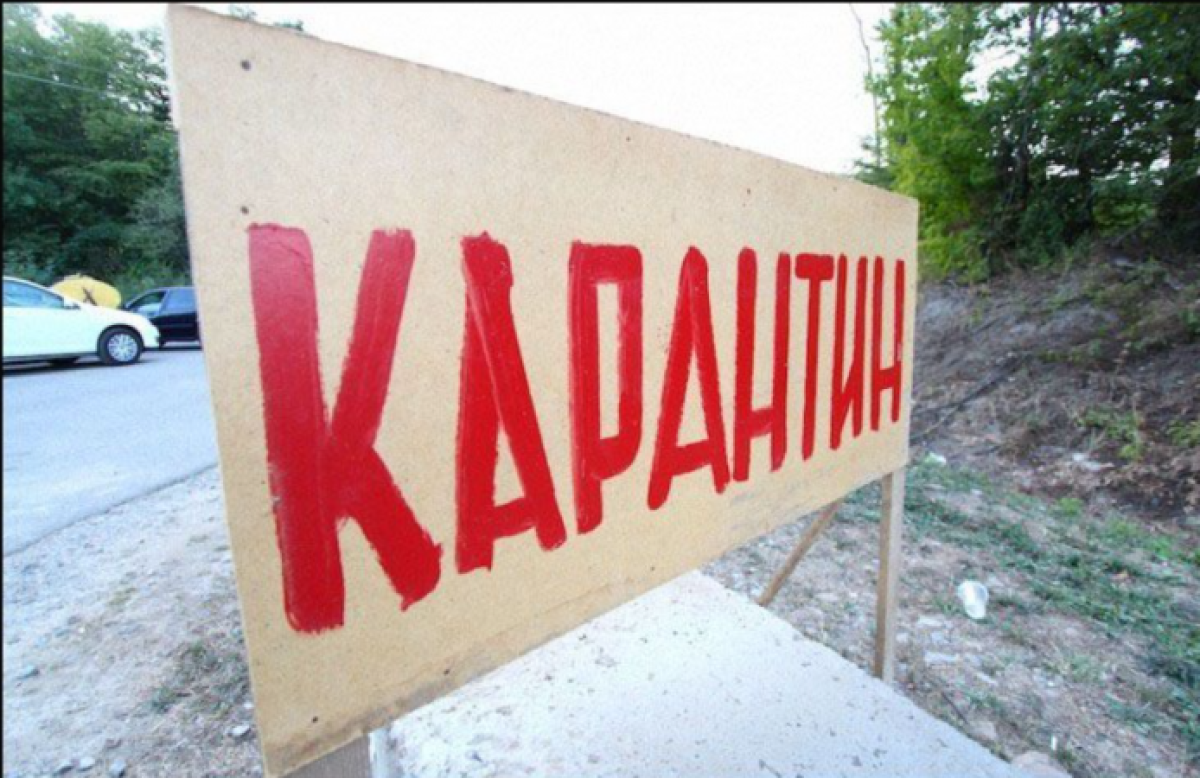 иллюстративное