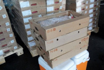 Фотография к новости: COVID-19 выявили на упаковках куриных продуктов из России и Аргентины