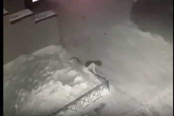 Фотография к новости: Девочка выпала из окна высотки, а затем встала и пошла