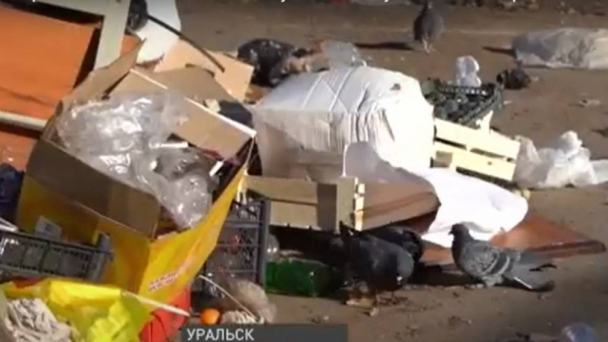 кадр из видео 