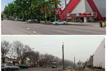 Фотография к новости: Сагинтаев отреагировал на вырубку деревьев в Алматы