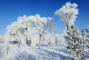 Фотография к новости: Гололед и метель прогнозируют в нескольких регионах Казахстана