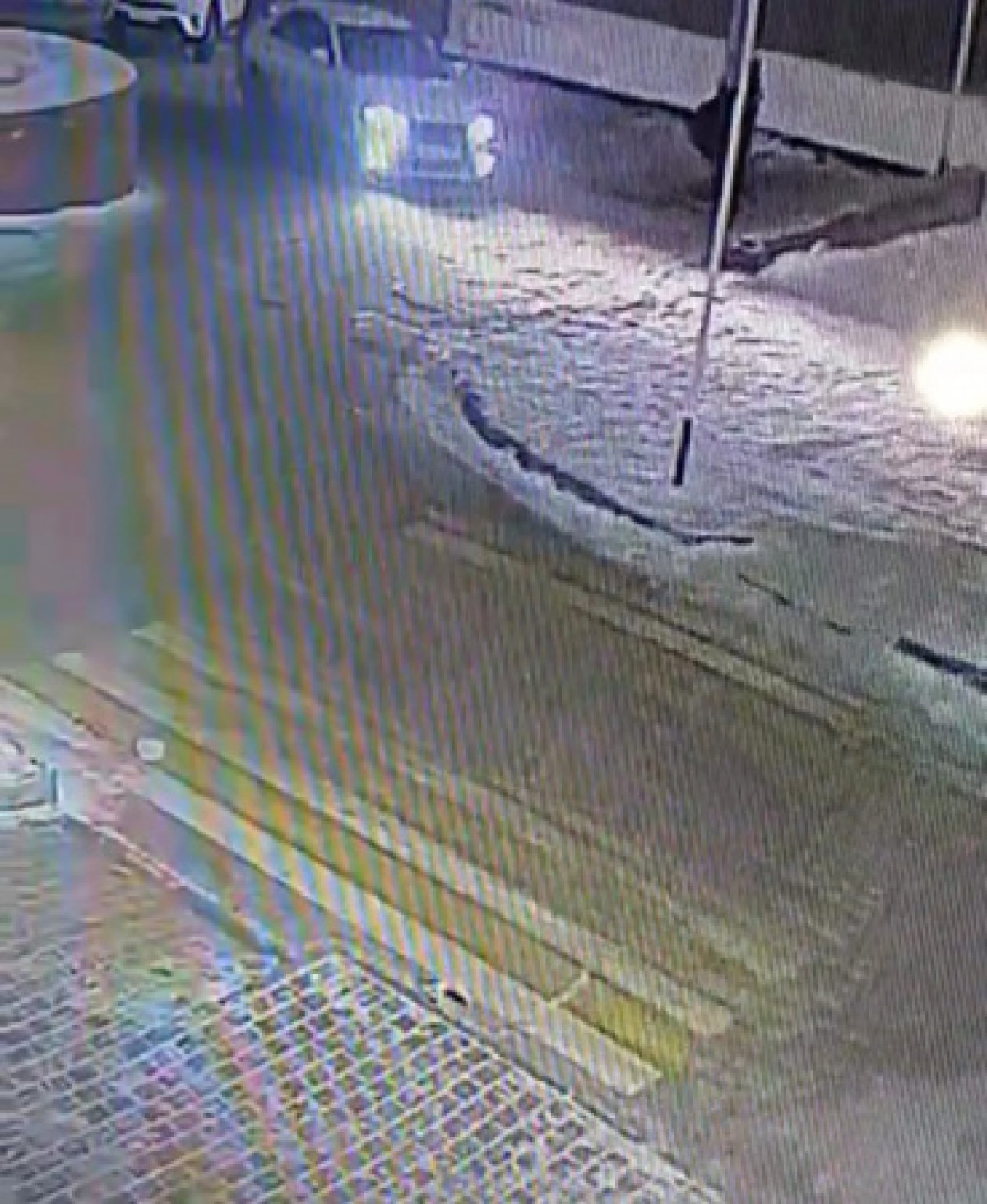 кадр из видео