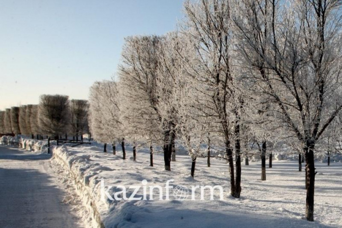 Иллюстративное: inform.kz