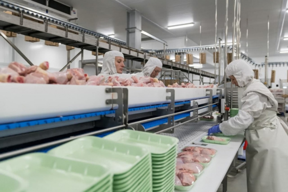 иллюстративное