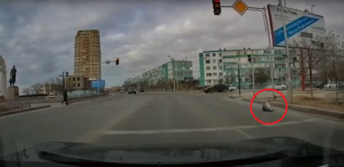кадр из видео 