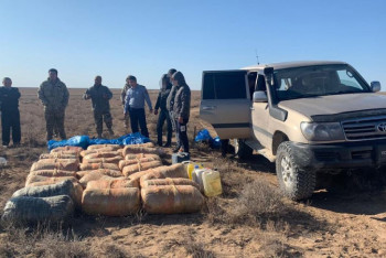 Фотография к новости: Около семи тонн наркотиков изъяли полицейские в Туркестанской области