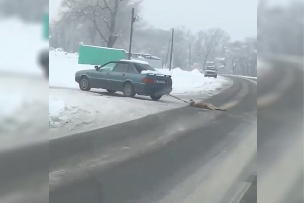 кадр из видео 