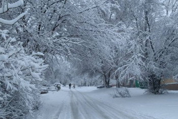 Фотография к новости: Казахстан ожидает морозная погода
