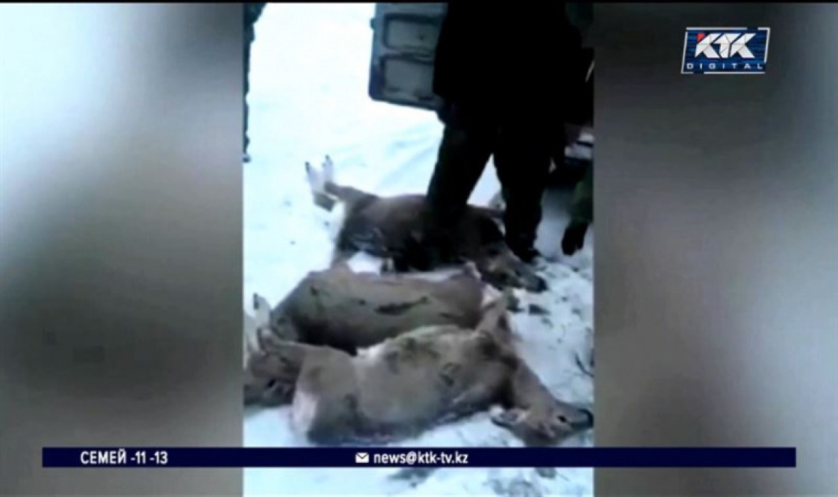 кадр из видео