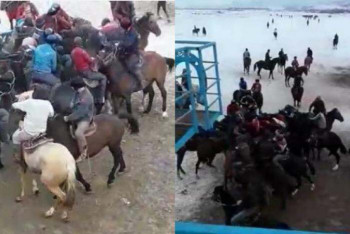 Фотография к новости: Очередной кокпар незаконно провели в Туркестанской области