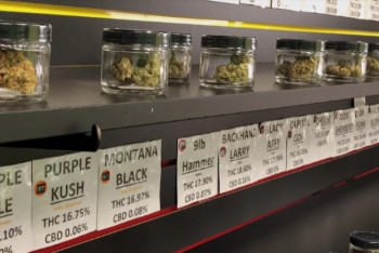 Фотография к новости: Конгресс США одобрил легализацию каннабиса на федеральном уровне