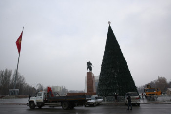 Фотография к новости: В Бишкеке установили главную елку страны: концерта и салюта не будет