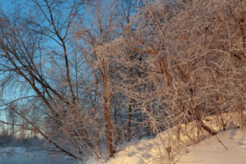 Фотография к новости: Какая погода ожидается в Казахстане 8 декабря