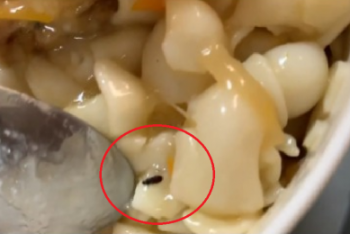 Фотография к новости: "Живность" в еде обнаружили в детской больнице в Актау