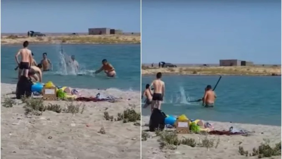 "Случаи избиения краснокнижных тюленей не должны повторяться" - министр Мирзагалиев