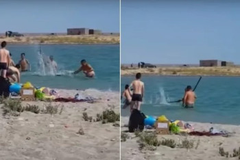 Фотография к новости: "Случаи избиения краснокнижных тюленей не должны повторяться" - министр Мирзагалиев