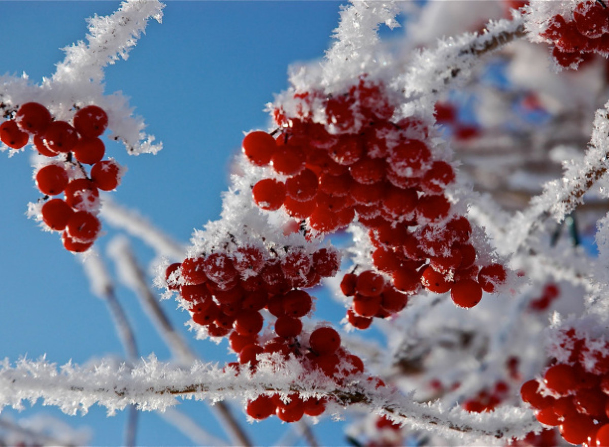 Какая погода ожидается в Казахстане 12 декабря