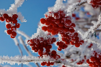 Фотография к новости: Какая погода ожидается в Казахстане 12 декабря