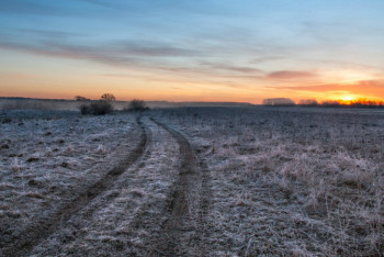 Фотография к новости: Двое малолетних детей сутки блуждали в степи Туркестанской области
