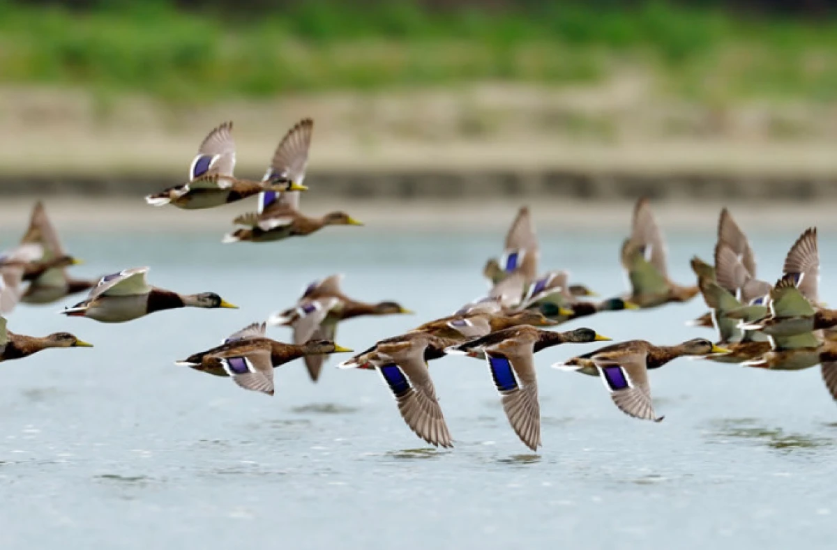 depositphotos