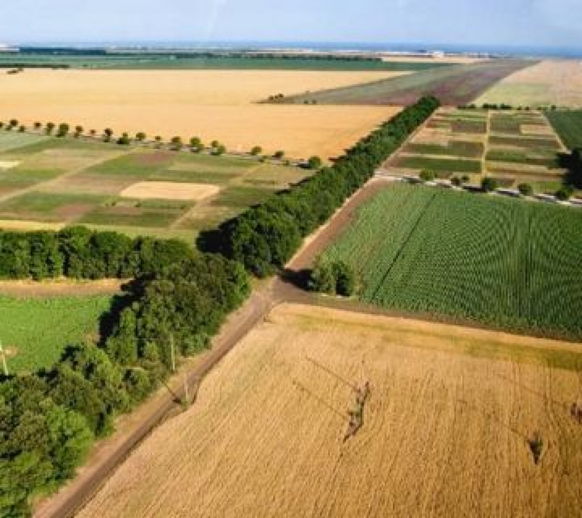 Как предоставляют земельные участки в Акмолинской области