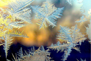 Фотография к новости: Погода в Казахстане: прогнозируют метель и морозы